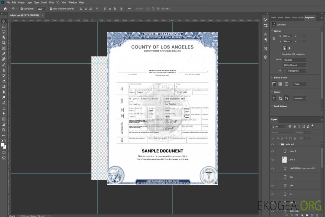 États-Unis Los Angeles certificat de naissance vivante template